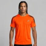 تیشرت ورزشی مردانه اسیکس ASICS مدل D1 رانینگ ASICS Men’s D1 Performance Running Tee