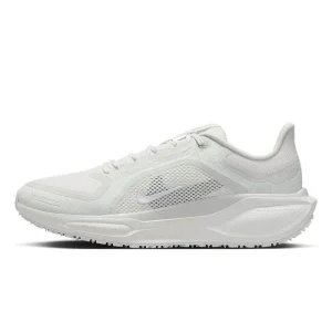 کتونی اورجینال Nike Pegasus 41 GORE-TEX