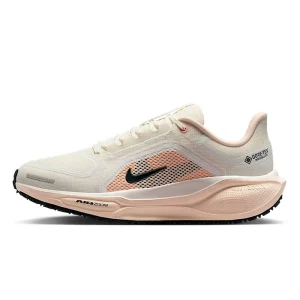 کتونی اورجینال Nike Pegasus 41 GORE-TEX