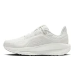 کتونی اورجینال Nike Winflo 11 GORE-TEX