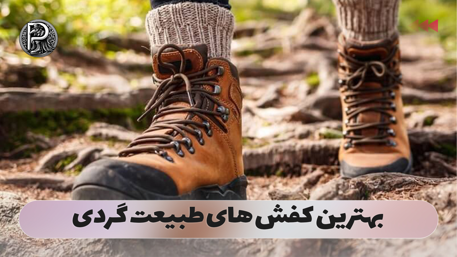 بهترین کفش های طبیعت گردی