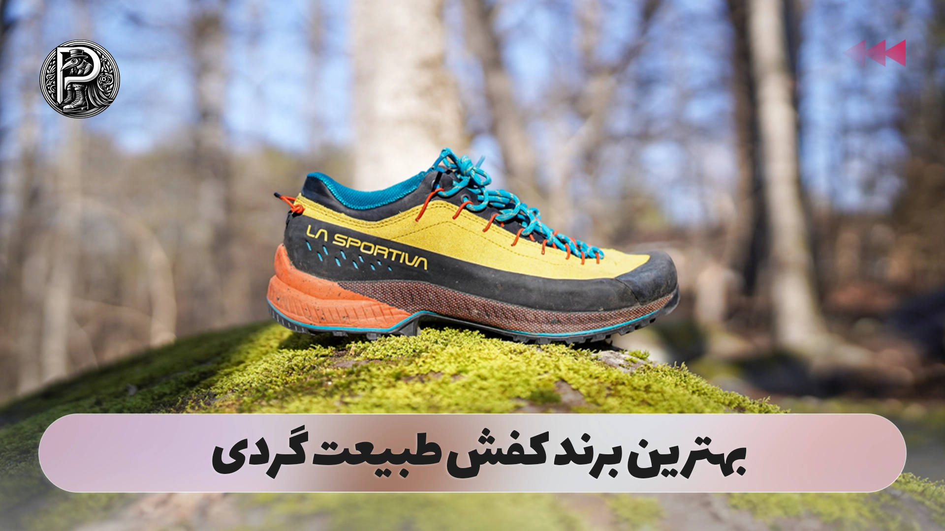 بهترین برند کفش طبیعت گردی